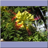 pfingsten2004 092.jpg